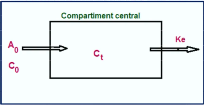 Figure 18 : Représentation du compartiment centrale, représenté par la concentration plasmatique ( )