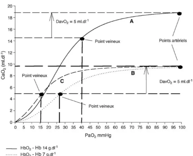 Fig. n°20 : Influences respectives de l’anémie et du CO sur la relation entre le contenu artériel  en O2 (CaO2 = [Hb × 1,34 × SaO2] + PO2 × 0,003) et la PaO2