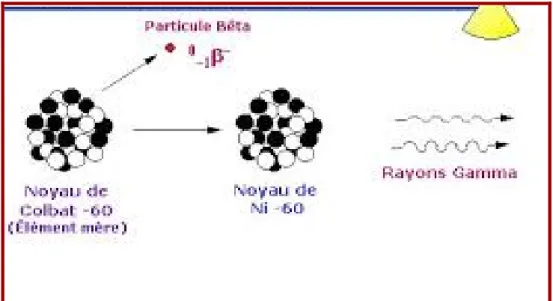 Figure 9 : Schéma de production de rayon gamma cobalt 60[53]. 