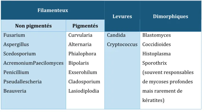 Tableau 1: Les principales espèces incriminées dans les kératites fongiques 