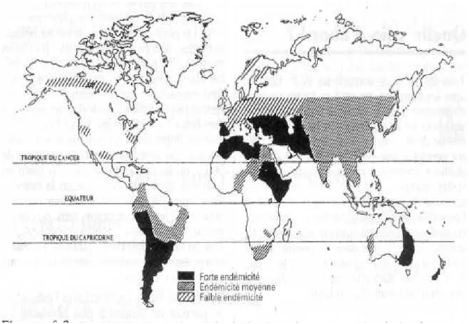 Figure 1: Répartition géographique de l’hydatidose dans le monde [9] 