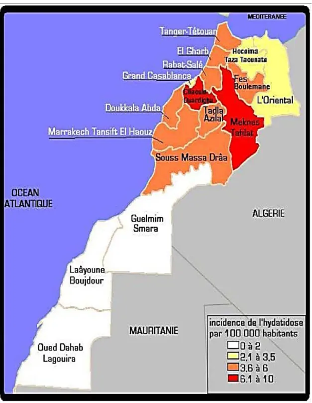 Figure 3: Répartition géographique du kyste hydatique au Maroc selon les données  épidémiologiques de 2006 [154] 