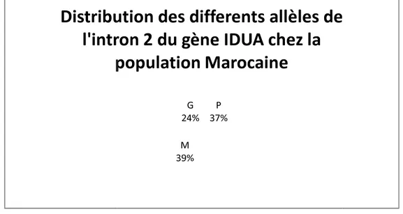 Figure 8 : Répartition des différents allèles de l’intron 2 du gène IDUA  la population marocaine
