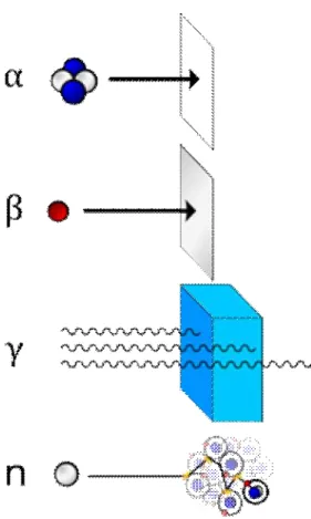 Figure 4 : schema de parcours des différents rayonnements en fonction de leur nature [14] 