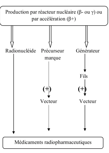 Figure 9 : Schéma de  résume les différentes étapes permettant d’obtenir un médicament radio- radio-pharmaceutique à partir d’un radionucléide
