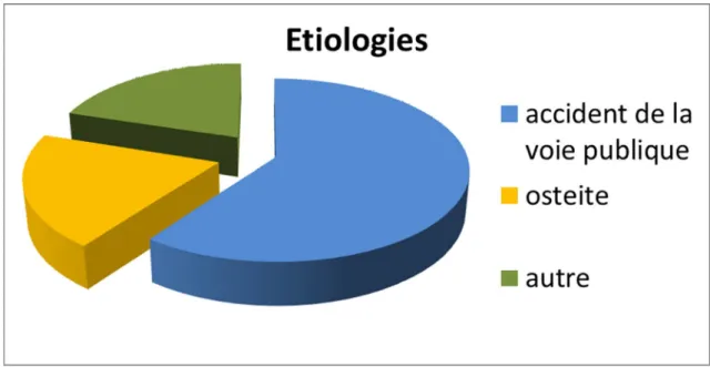 Graphique 1: étiologies des pertes de substance dans notre série 