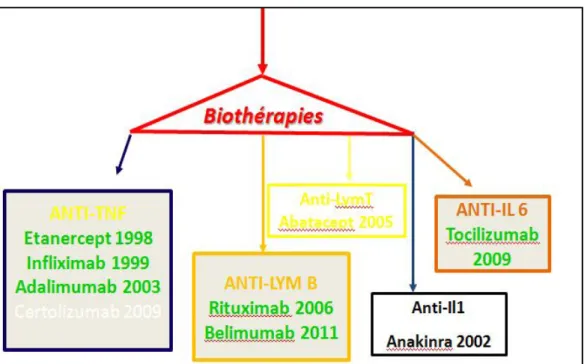 Figure 5: Classes biothérapeutiques et années d’approbation 