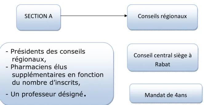 Figure 4 : Schéma qui montre la composition du CRPO SECTION A 