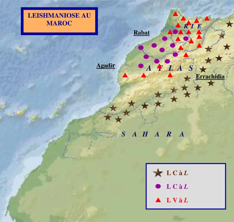 Fig. 3 : Répartition des différentes formes de leishmaniose au Maroc.  [81]