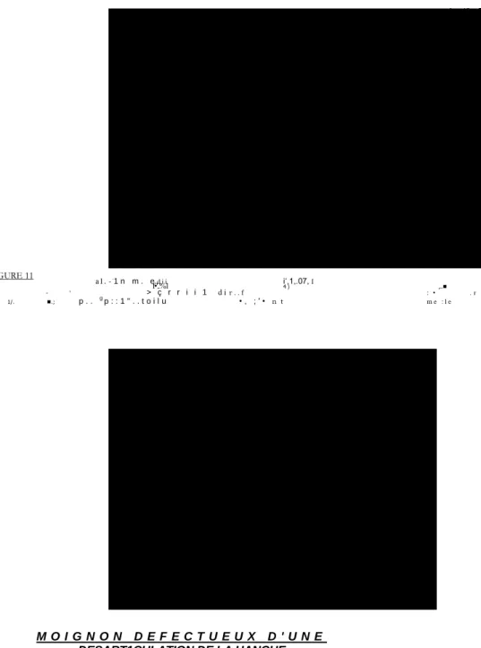 FIGURE 11   a 1 . - . 1 n   m .   e  f•'..%1 d i i   i‘,1,.07, 4 )   I ,..  -  '  > ç r r i i 1   d i   r 