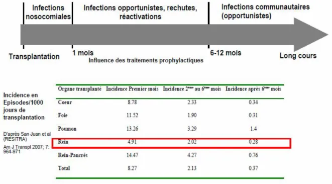 Figure 13 : Chronologie des infections après transplantation 