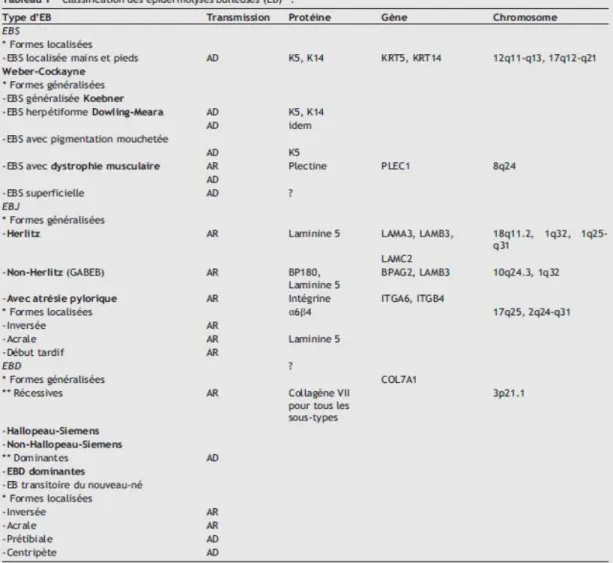 Tableau 1 : classification des épidermolyse bulleuse 