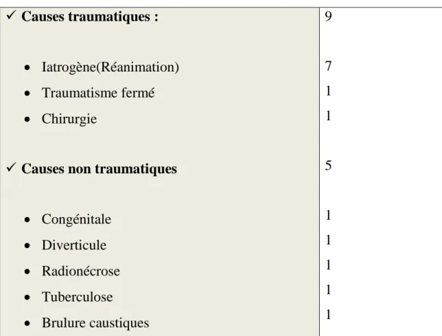 Tableau I : extrait de L.couraud[32] 