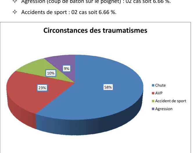 Figure 4 : Circonstances des traumatismes. 
