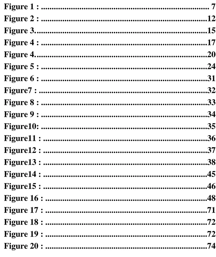 TABLE DES FIGURES  Figure 1 : ..............................................................................