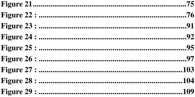 Figure 21 ...............................................................................75 Figure 22 : ............................................................................76 Figure 23 : .............................................................