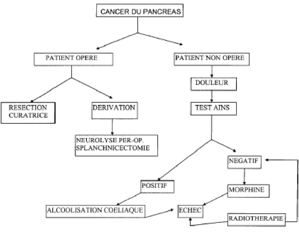 Fig 41 : algorithme décisionnel de prise en charge   de la douleur du cancer du pancrés[93] 