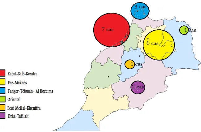 Figure 3 :  répartition des patients en fonction de la région d’origine 