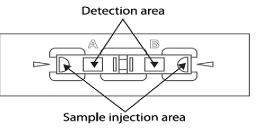 Figure 7: REPRESENTATION D’UNE LAME C-CHIP 