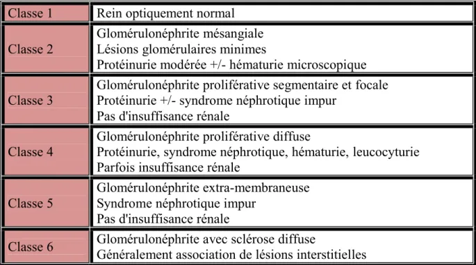 Tableau 3 : Classification de la néphropathie lupique selon l’OMS (183) 