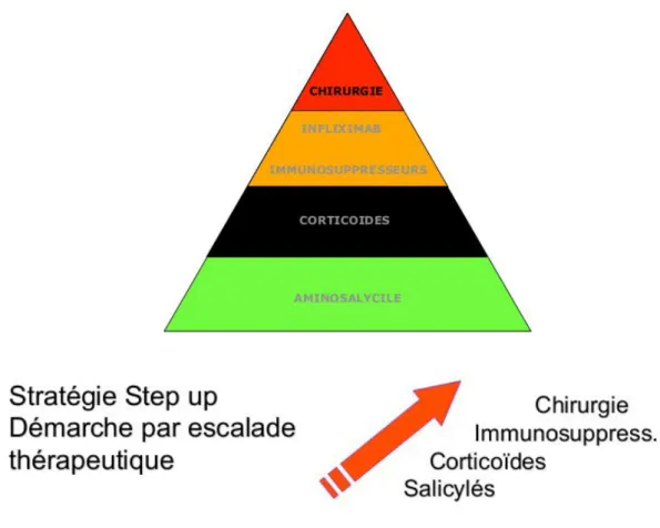 Figure 6: Stratégie thérapeutique step-up 