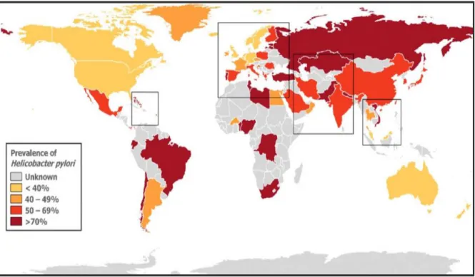 Figure 10: Prévalence de l'infecion par H. pylori chez les adultes dans le monde [112]