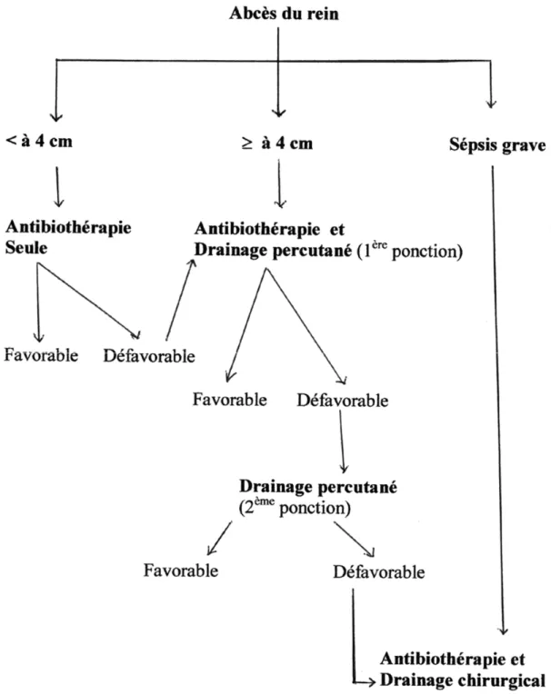 Figure 27 : Algorithme décisionnel devant le diagnostic d’un abcès du rein selon Bacha et  Coll