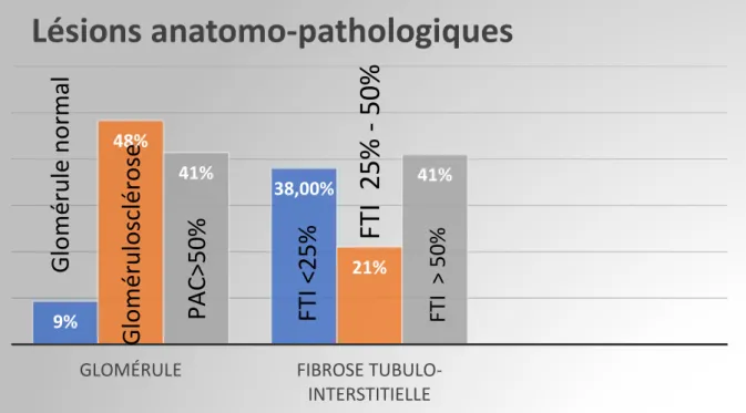 Figure IV : fréquence des lésions anatomopathologiques de la  chronicité 