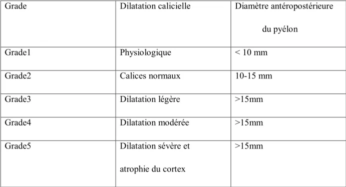 Tableau  1 :  Classification  de  GRIGNON :  l’hydronéphrose  fœtale  à  révélation  anténatale après 20 Semaines de gestation