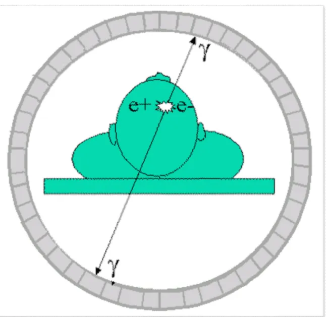 Figure 6: Principe de détection en coïncidence des photons d’annihilation [8]. 