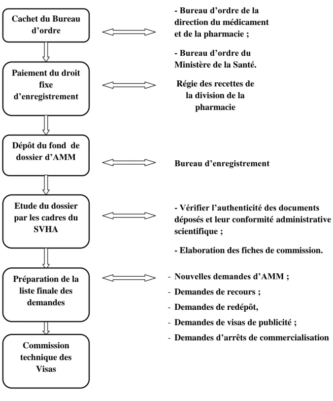 Figure 4 : Le circuit du dossier administratif avant la Commission  Technique des Visas 