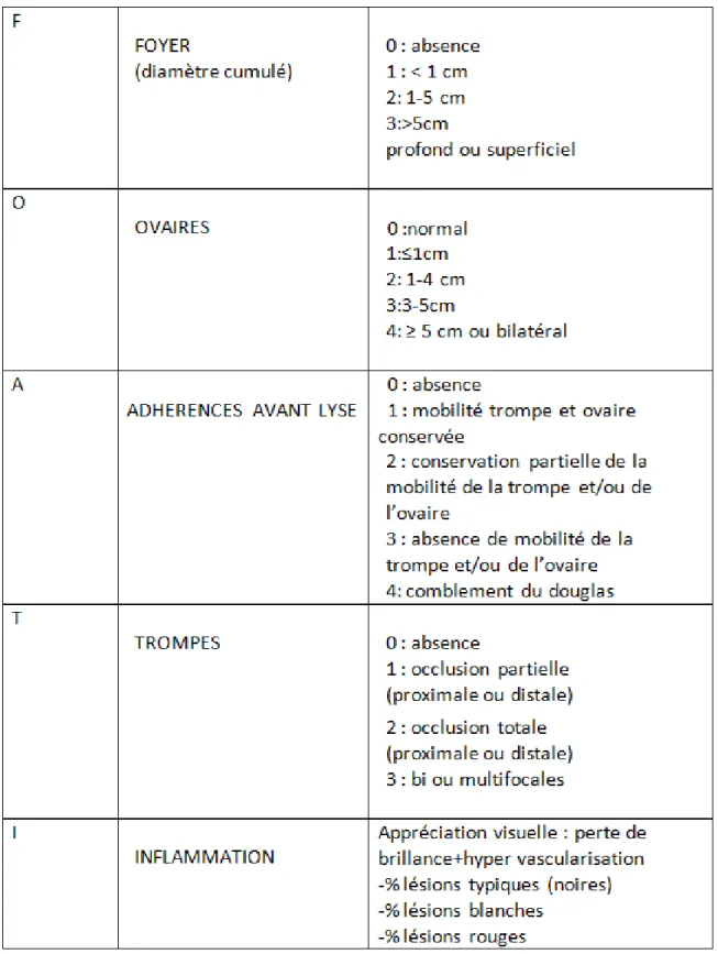 Figure 3: Classification française FOATI [79] 