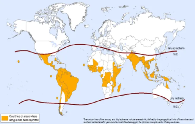 Figure 7 : Répartition de dengue dans le monde, 2013 [74]. 