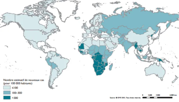 Figure 12 : Répartition de tuberculose dans le monde, 2010 [79]. 