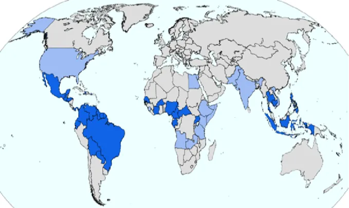 Figure 14 : Répartition du Zika dans le monde [62]. 