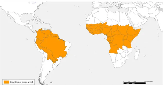 Figure 4 : Répartition de fièvre jaune dans le monde, 2008 [71]. 
