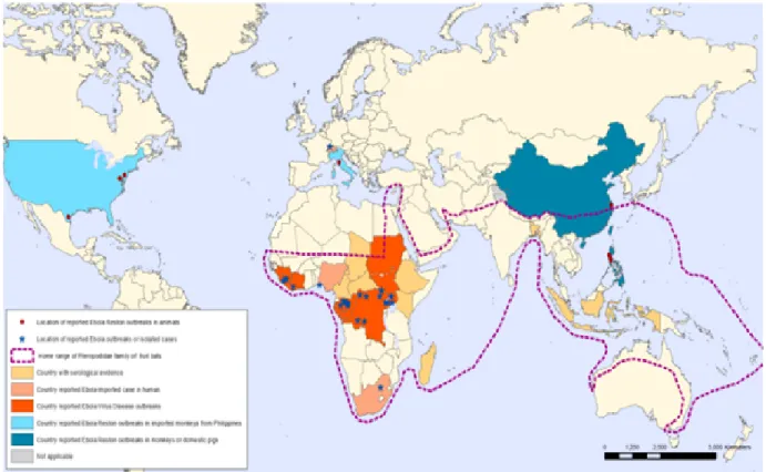 Figure 5 : Répartition d’Ebola dans le monde, 2014 [72]. 