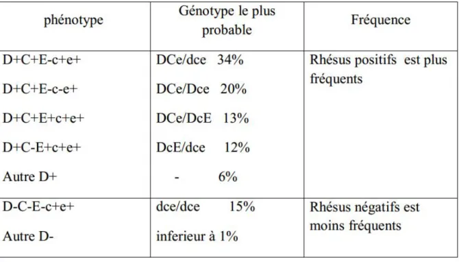 Tableau IV : Les phénotypes du groupe Rh 