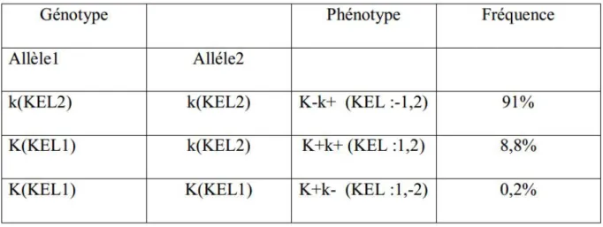 Tableau VII: les différents phénotypes du groupe kell 