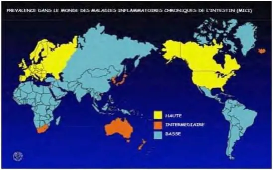 Figure  6 : Prévalence des MICI dans le monde (Source ONU) 