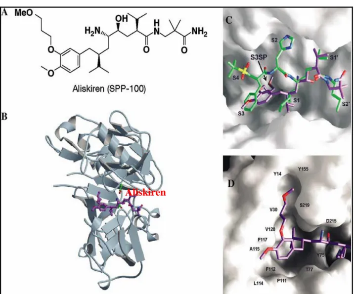 Figure 7: (A); représente la structure chimique développée de l’aliskiren,  (B), c’est une vue générale de la structure cristalline de l’aliskiren lié à la rénine  humaine glycosylée