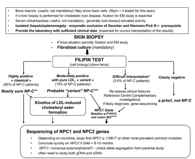 Figure 16 : Algorithme montrant la stratégie diagnostique paraclinique dans la  maladie de NPC (39)
