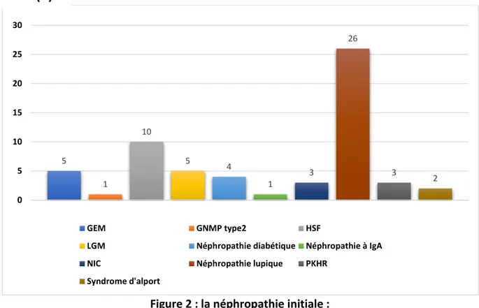 Figure 2 : la néphropathie initiale :  