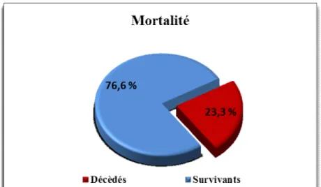 Figure 12: Mortalité  