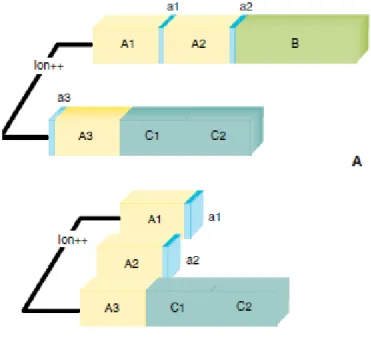 Figure  8. Facteur VIII (FVIII) et FVIII activé. Représentation schématique de la  structure [19]