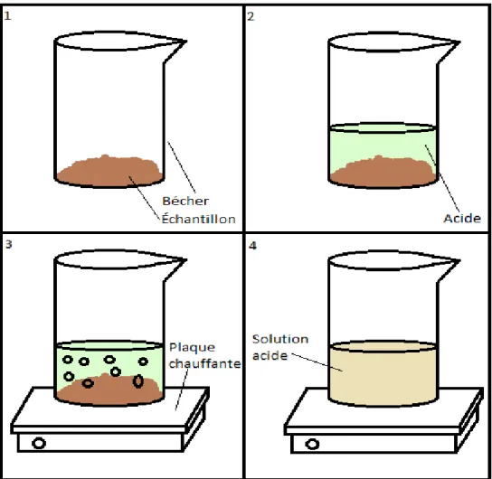 Figure 9: les différentes étapes du principe de la méthode de digestion humide en vase ouvert 