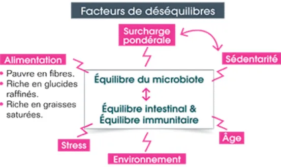 Figure 9: Facteurs perturbant la composition du microbiote [44]. 