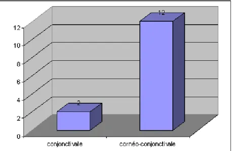 Figure 11: Siège tumoral. 