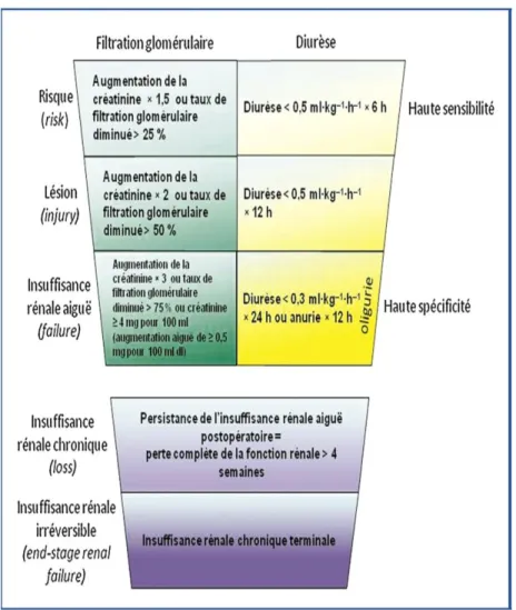 Figure 4 : La classification de RIFLE ( risk, injury, failure, loss,end-stage renal failure)  sépare les critères de la créatinine sérique et la diurèse 