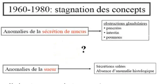 Figure 3 : Stagnation des concepts entre 1960 et 1980 